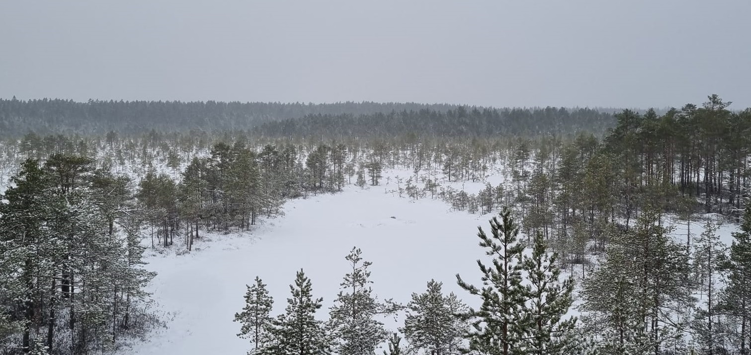 Magical Christmas fam trip to Estonia