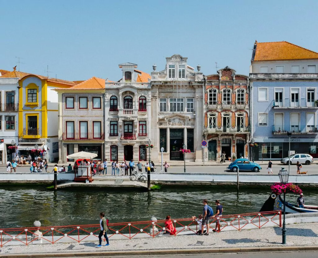 Webinar for 130 Portuguese stakeholders