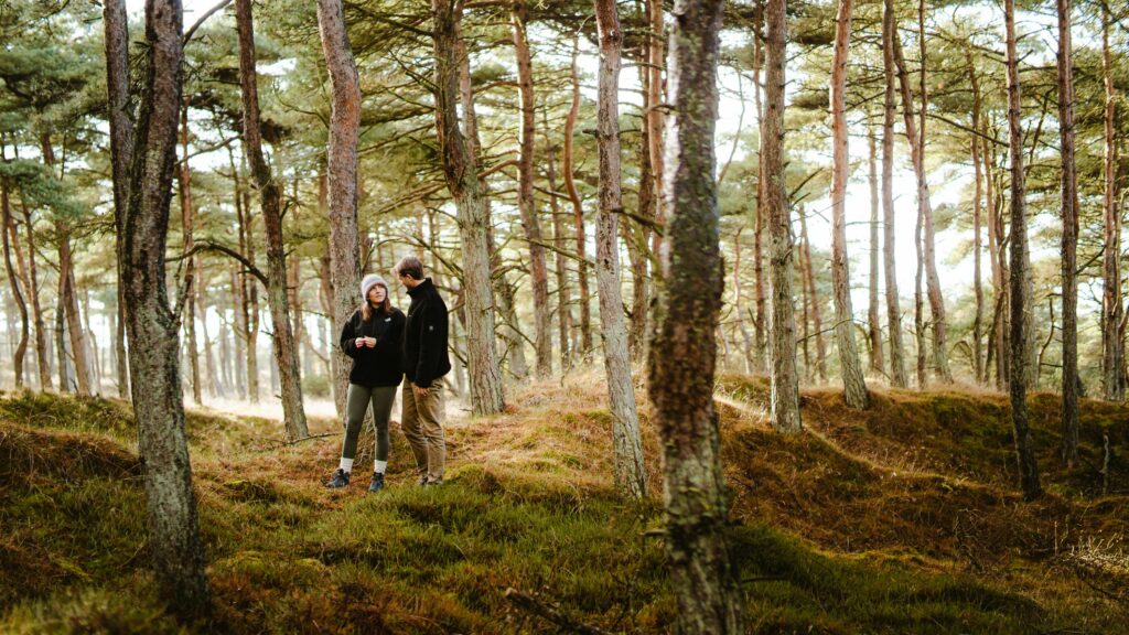 Related launches production company: To optimize visual content for the Nordic market