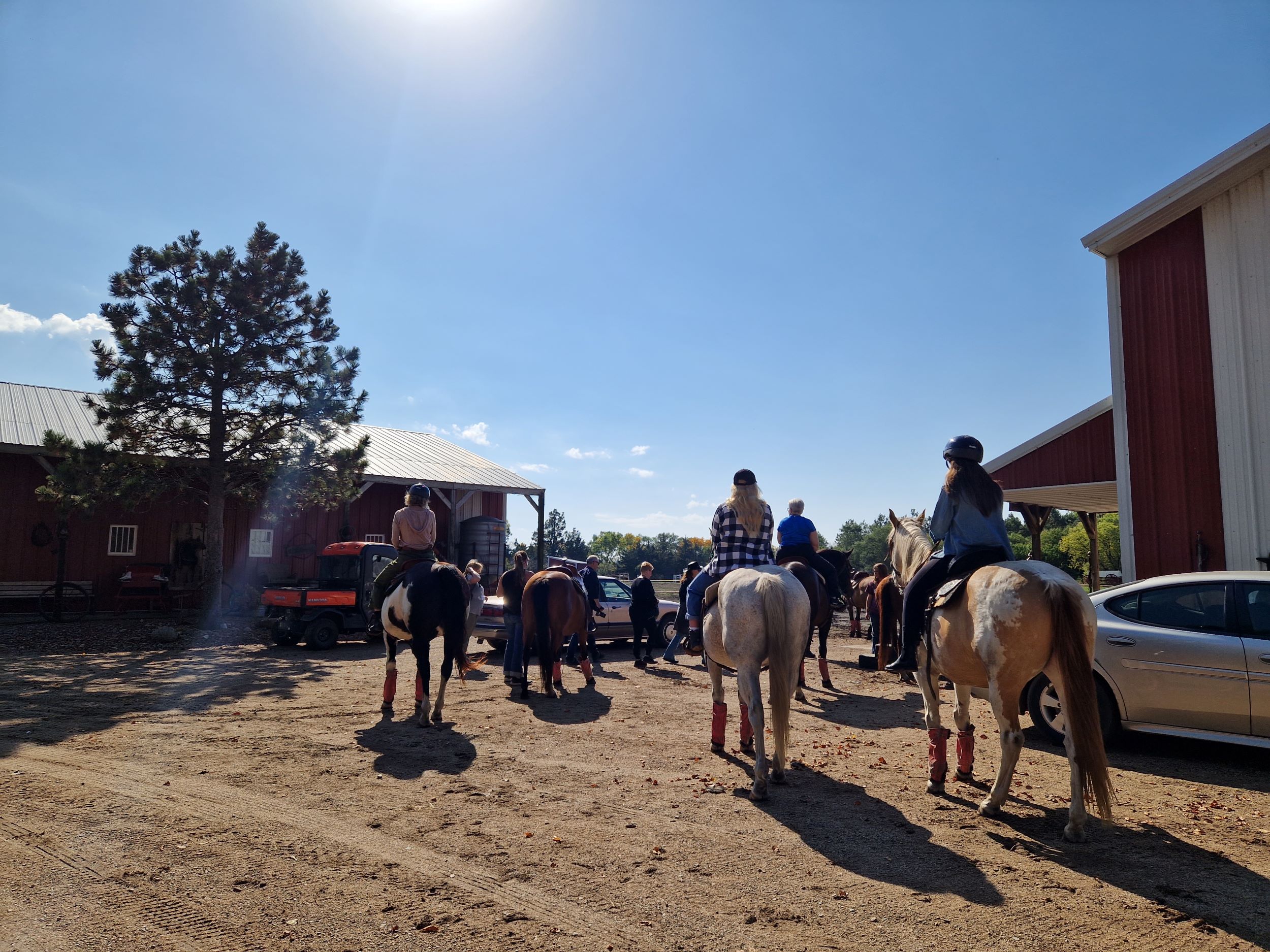 Pan-Nordic partnership brings travel agents on the horseback